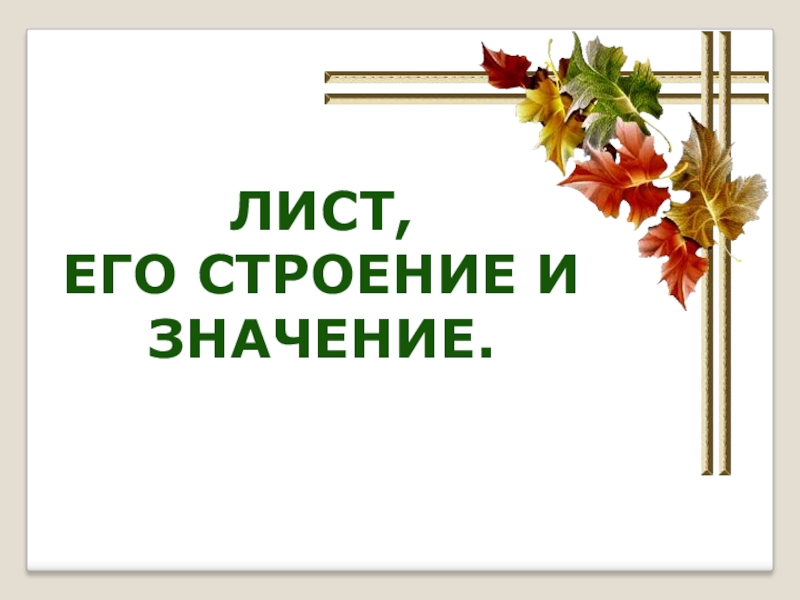 Значение листьев. Лист его строение и значение. Лист биология 6 класс. Лист для презентации. Презентация по теме лист.