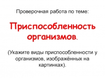 Презентация по биологии Приспособленность организмов. 11 класс.