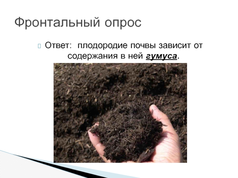 Содержание почвы. От чего зависит плодородие почвы. Что такое гумус почвы. Гумус и плодородие. Плодородная почва зависит от.