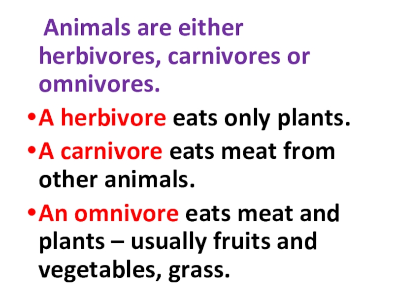 Доклад: Carnivore