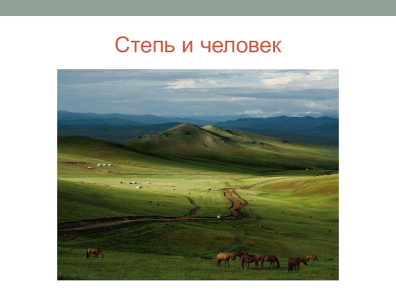 Степь рисунок окружающий мир. Степь. Степ по окружающему мир. Степи окружающий мир. Жизнь в степи.