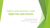 Царство растений  старший дошкольный возраст