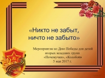 Презентация к 9 мая для вторых младших групп