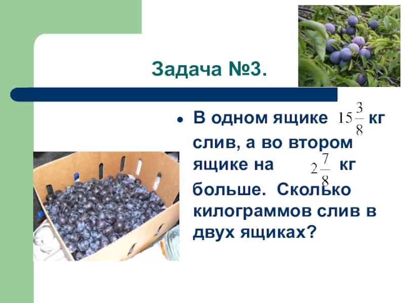 Сколько сливать. 1 Килограмм слив. 1 Кг сливы это сколько. Сколько килограмм сливы в ящике. Слив в ящике двух ящиках.