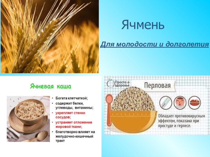 Каша содержит. Сбо каши. Урок домоводства по теме каша. Сбо Колос. Презентация на тему каша пища богатырей.