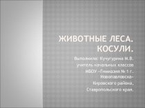 Презентация к уроку окружающего мира для 1-4 классов Животные леса. Косули