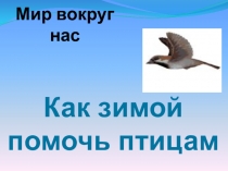 Презентация по окружающему миру Как зимой помочь птицам??