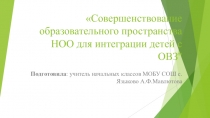 Презентация Совершенстование образовательного пространства НОО для интеграции детей с ОВЗ.