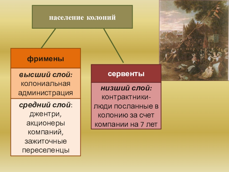 Составьте схему население колоний в северной америке