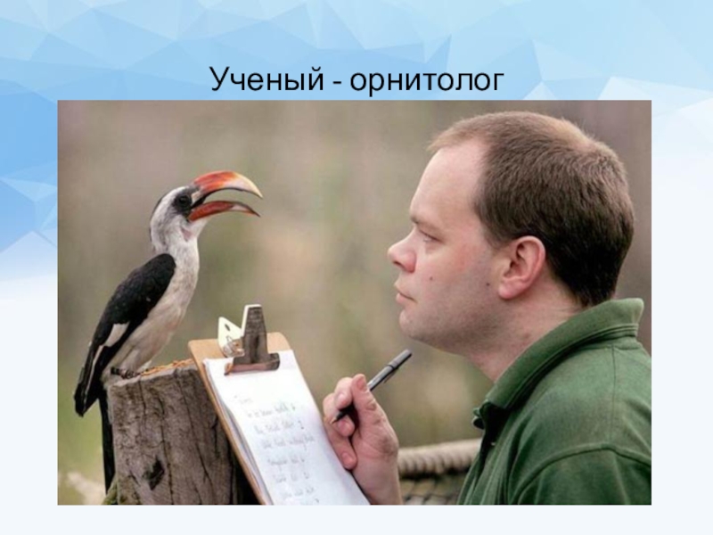 Как называют специалиста зоолога объектом изучения которого являются изображенные на фотографии аист