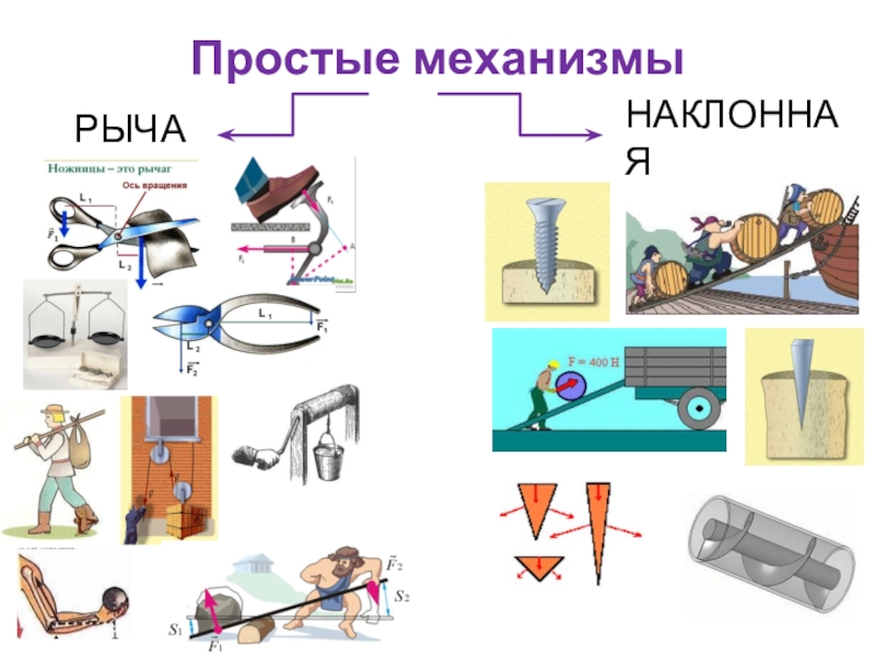 Физика 7 класс рычаг простые механизмы презентация 7 класс физика