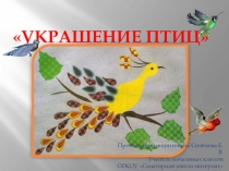 Презентация по ИЗО - деятельности Украшение птиц (1 класс)