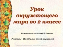 Презентация по окружающему миру на тему Урок исследование Что такое грибы (2 класс)