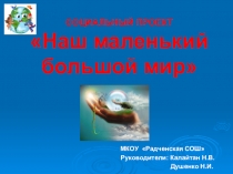 Презентация. Социальный проект Наш маленький большой мир.