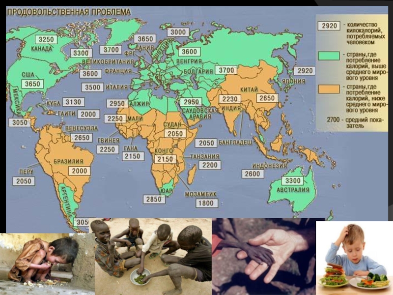 Масштабы голода. Карта продовольственнойтпроблемы. Страны с продовольственной проблемой. География продовольственной проблемы.