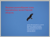 Презентация Орнитофауна подтаёжных лесов Тарского района Омской области