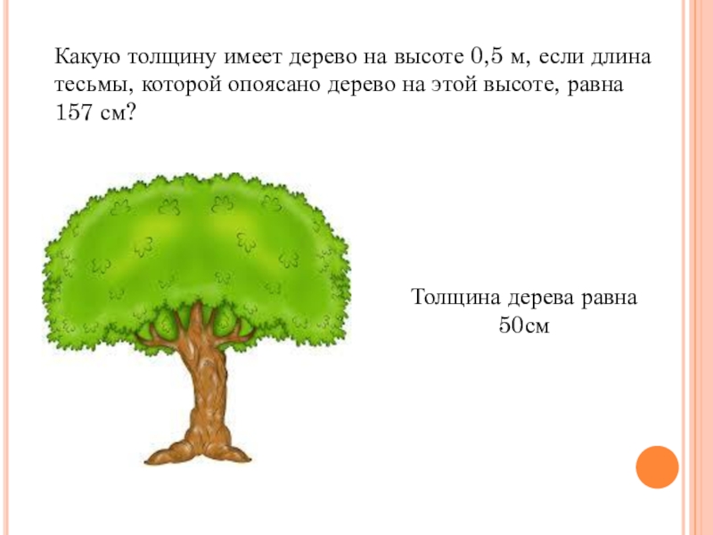 Какую толщину имеет. Какую толщину имеет дерево на высоте 0,5. Какую тень имеет дерево. Если дерево имеет толщину то. Что не имеют дерево.