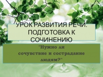 УРОК РАЗВИТИЯ РЕЧИ. ПОДГОТОВКА К СОЧИНЕНИЮ