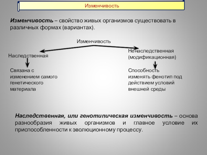 Ненаследственная изменчивость 9 класс пономарева