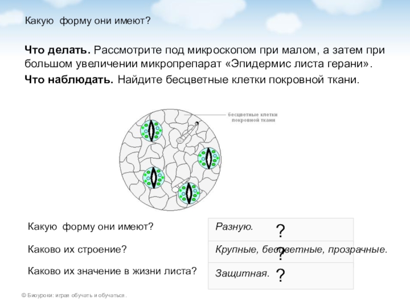 Рассмотрите фотографию какую форму духовной культуры можно проиллюстрировать данным изображением