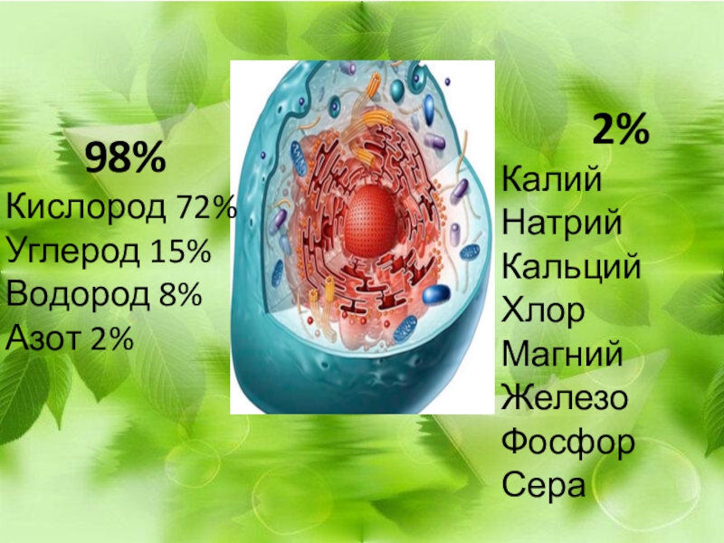 Химический состав клетки презентация 9 класс