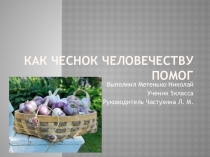 Презентация для исследовательской работы