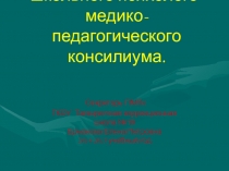 Организация работы школьной ПМПК