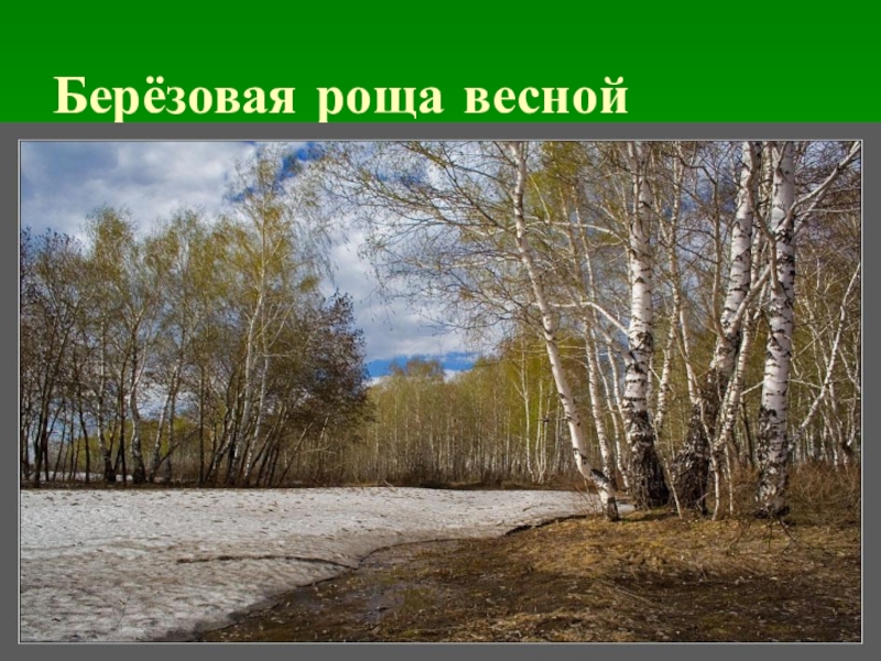 В березовой роще 2 класс планета знаний презентация