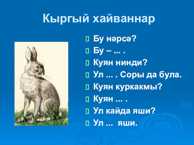 Нинди була. Куян. Животные на татарском языке. Хайваннар. Дикие животные на татарском языке.