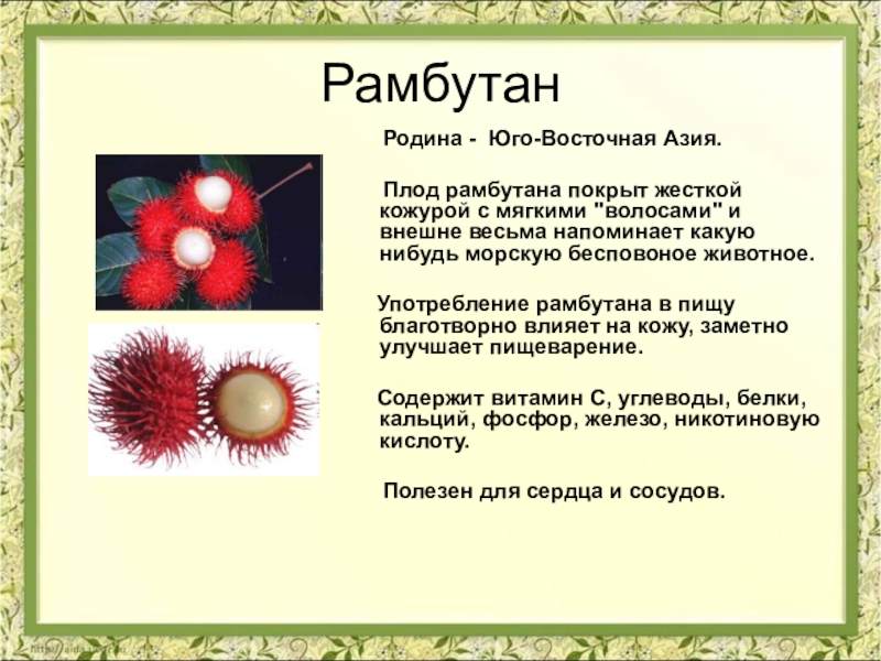 Проект плоды экзоты