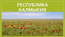 Презентация Калмыки - степной народ