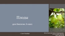 Плоды (6 класс)