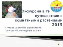 Экскурсия в теплицу: путешествия с комнатными растениями