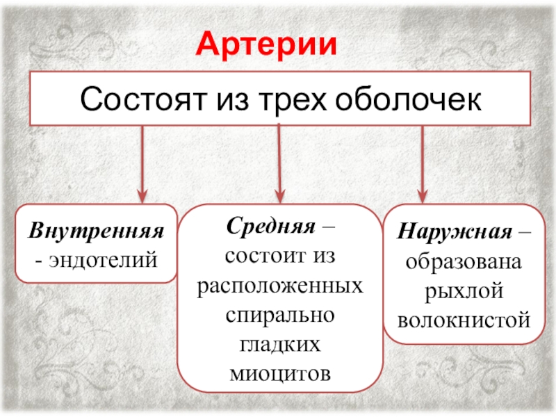 Состоит из образующих. Из чего состоит внутренняя. Человек состой внутри из чего состоит. В чем состоит внутренней.