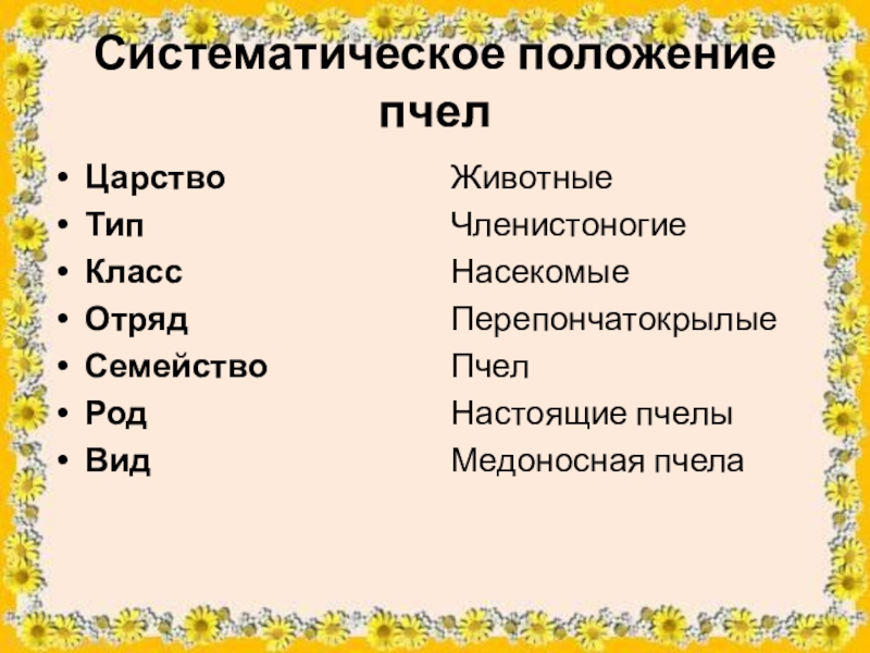 Систематическое положение