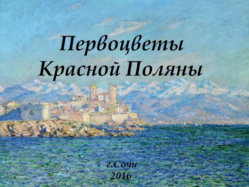 Презентация Презентация по окружающему миру на тему Первоцветы Красной Поляны