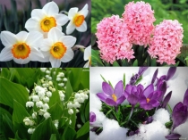 Аппликация Ваза с тюльпанами