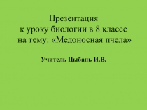 Презентация по биологии на тему Медоносная пчела (8 класс)