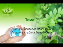 Презентация по биологии 5 класс Методы изучения живой природы