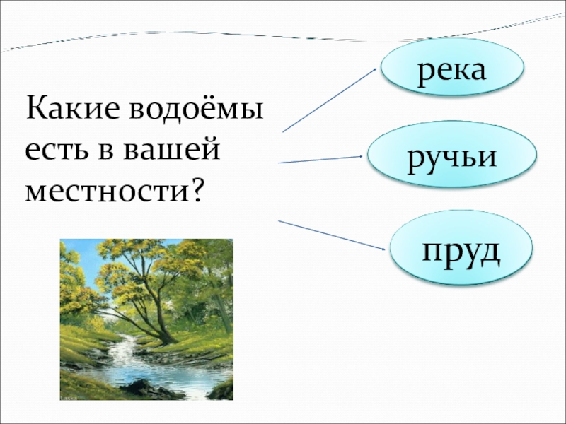 Какие водоёмы есть в вашей местности?