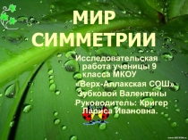 Презентация учащейся Зубковой В. Мир симметрии