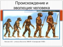 Презентация Происхождение и эволюция человека