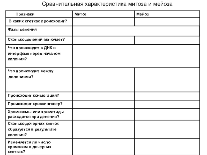 Презентация мейоз 10 класс биология базовый