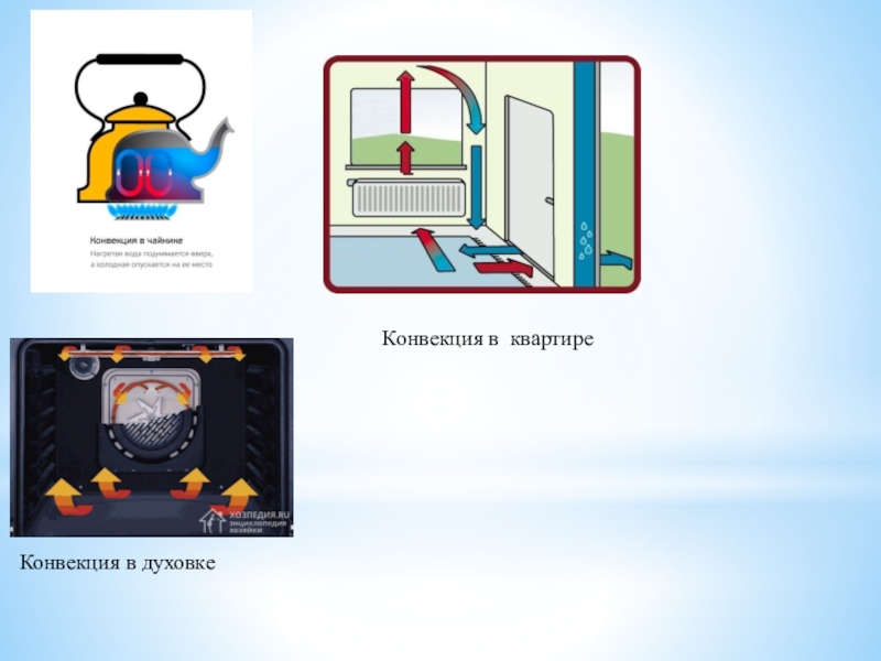 Конвекция в духовке это