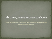 Разработка вегетативного размножения Тамарикса ветвистого