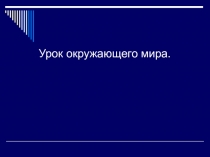 Презентация по окружающему миру на тему Животноводство (3 класс)