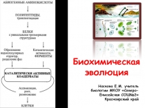 Презентация по биологии на тему Биохимическая эволюция