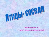 Презентация по окружающему миру Птицы-соседи