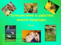 Путешествие в Царство живой природы Презентация игры-путешествия