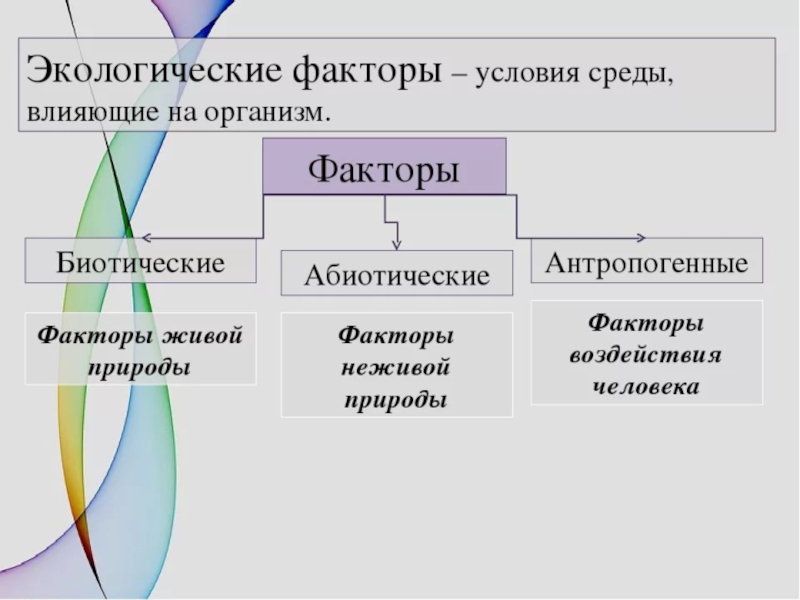 Презентация экологические факторы среды 5 класс биология пономарева